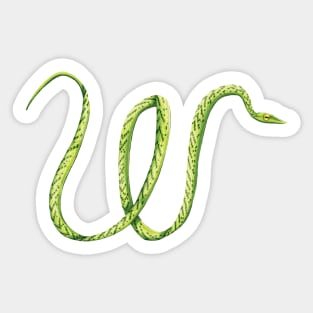 W - Oriental whip snake Sticker